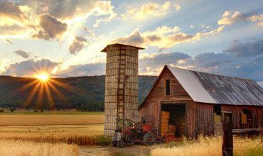 Agriculture and Animal Husbandry