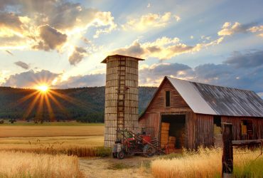 Agriculture and Animal Husbandry