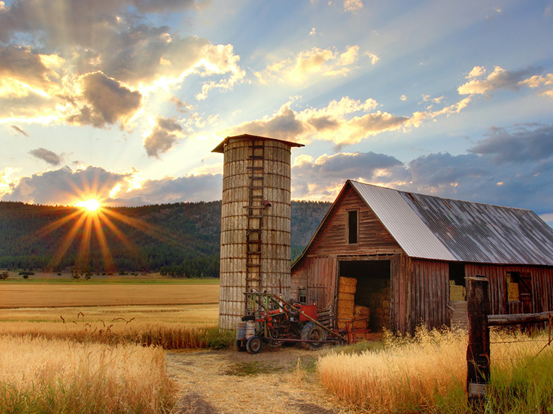 Agriculture and Animal Husbandry