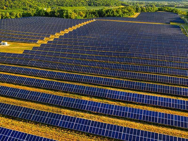 Red Wing, MN, United States